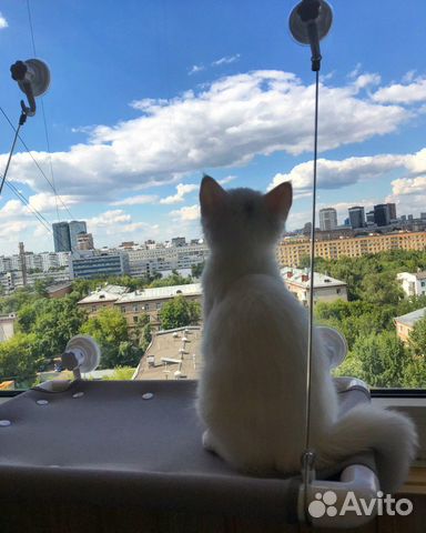 Оконный гамак для кошек glacat