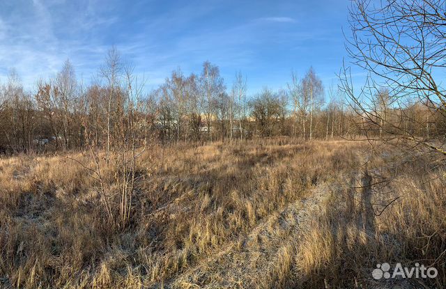 аренда земли в калужской. совьяки парк. сельхозназначения кфх. аренда земли в калужской. калужская обл лпх макарова.