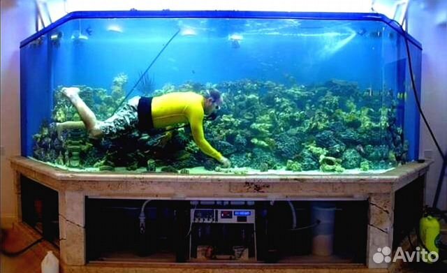 Аквариум почистить, ремонт, установка