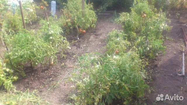 Дача 27 м² на участке 8 сот.