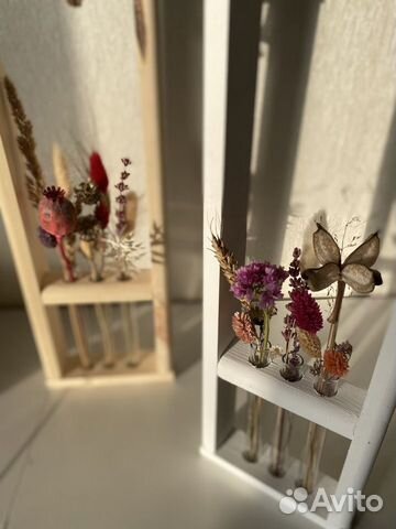 Цветы сухоцветы в колбе, композиции из сухоцветов