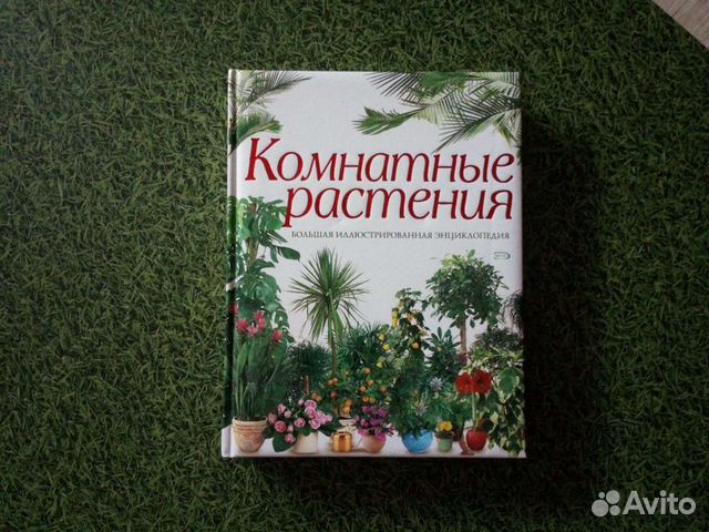 Книга Комнатные растения Большая иллюстрированная