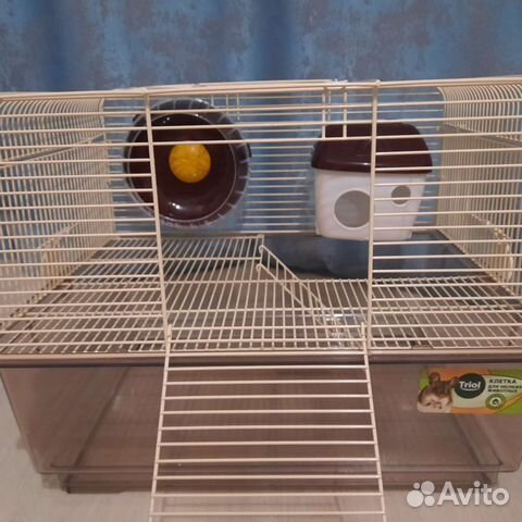 Клетка для грызунов крыс