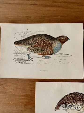 Ксилография гравюры антикварные