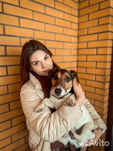 Передержка собак в домашних условиях