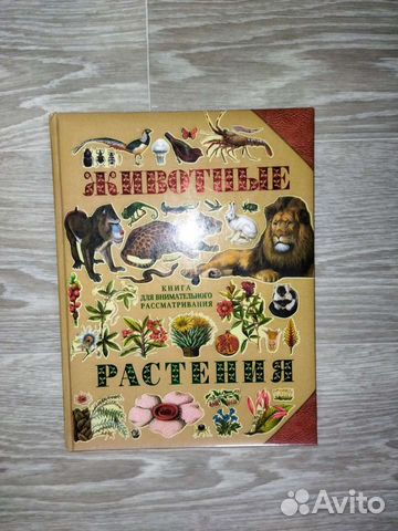 Детские книги новые