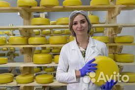 Работник на производство сыров Вахта Тульская обл