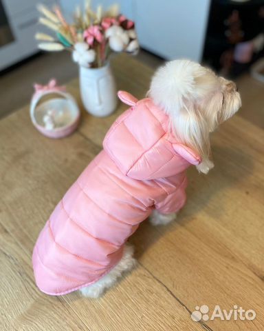 Куртки для собак (разные)
