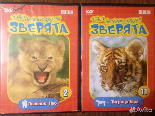 Компьютерные DVD диски фильмы