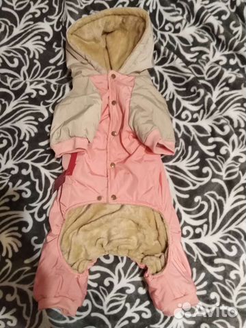 Одежда для большой собаки