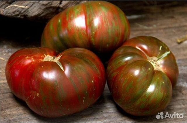 Семена томата Большой Полосатый Кабан
