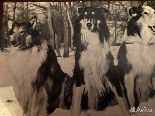 Открытки СССР