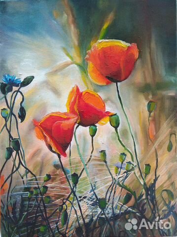 Картина маслом. Маки