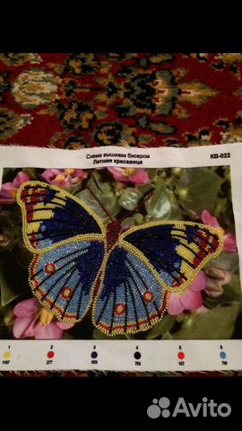 Картина бабочка