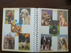 Календари кошки и собаки 140 штук