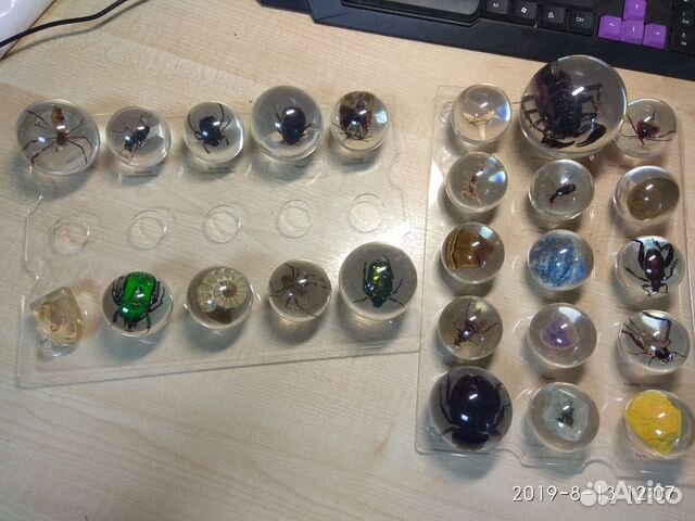 Коллекция Насекомых Насекомые в сферах