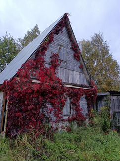 Дача 20 м² на участке 10,9 сот.