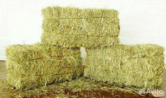 Продам сено в тюках 2024 год