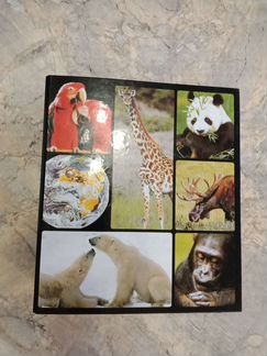 Энциклопедия