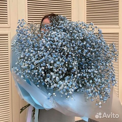 WOW Букеты из Радужной Гипсофилы. Доставка Цветов