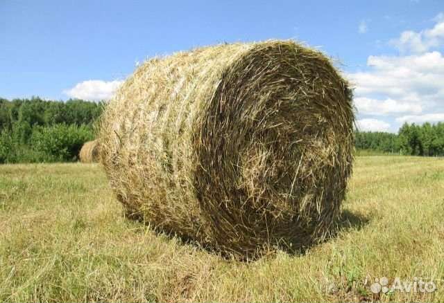 Сено в рулонах с доставкой
