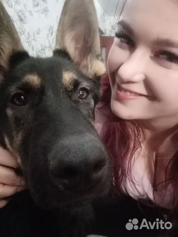 Передержка собак,зоотакси,лакомство для собак