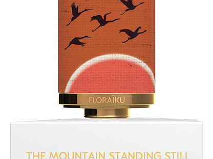the mountain -