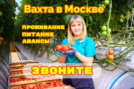 Вахта Упаковщица / к Томатов в Москве всё включено