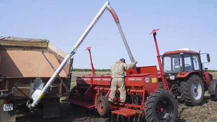 Загрузчик сеялок POM-Augustow Т-458, 2023