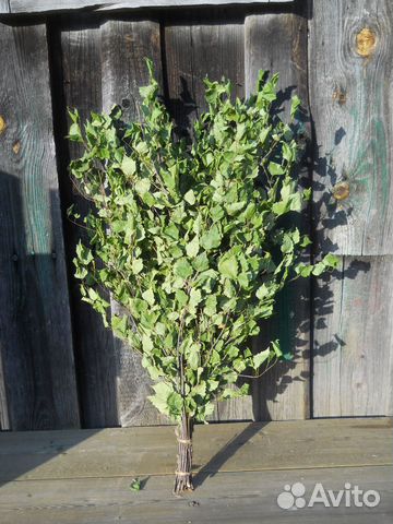 Веники березовые и дубовые для бани