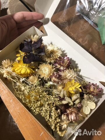 Сухоцветы для творчества