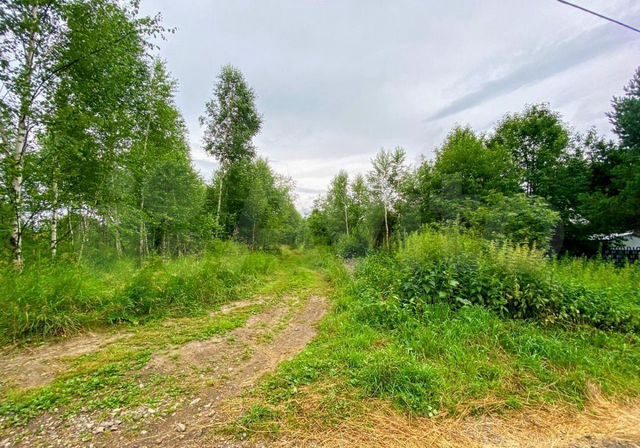 Участок 25 сот. (ИЖС)