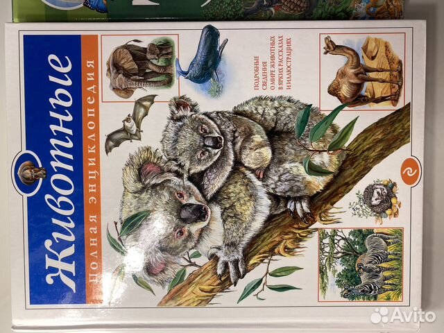 Энциклопедия животных