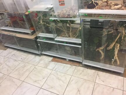 Террариум для рептилий