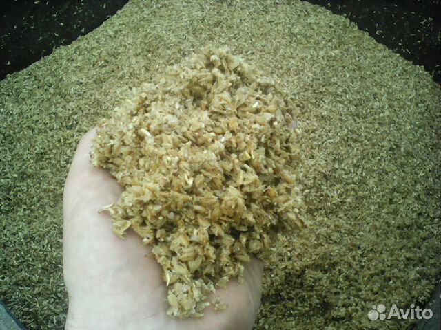 Пивная дробина бесплатно