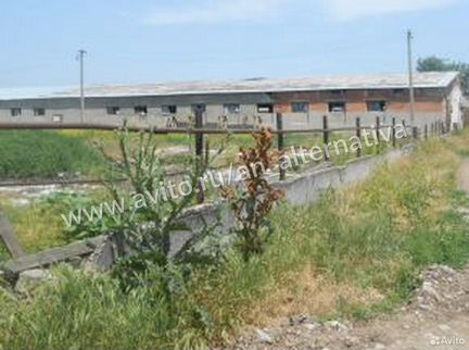 Производственное помещение, 800 м²