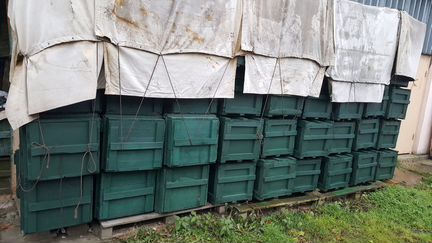 Ящики армейские зелёные