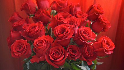 Красные розы