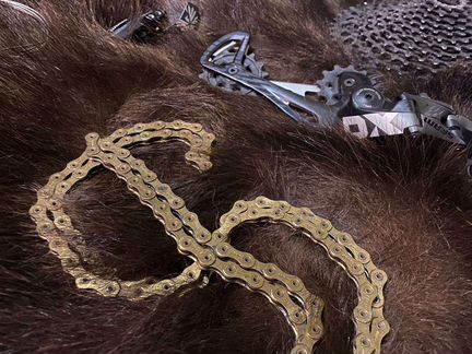 Комплект 12 скоростей Sram X01