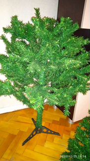 Елка (ель)