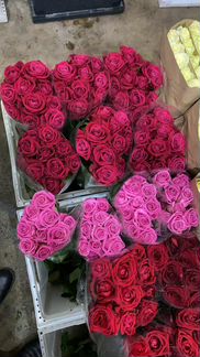 Цветы Малиновые розы