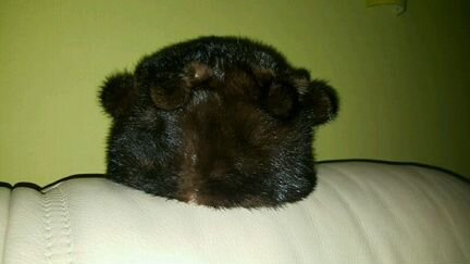 Меховая шапка из меха норки