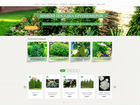 Продается интернет магазин крупномерных растений