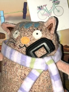 Наглазник на Canon 6D