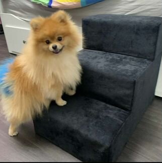 Лесенка - трансформер для собак