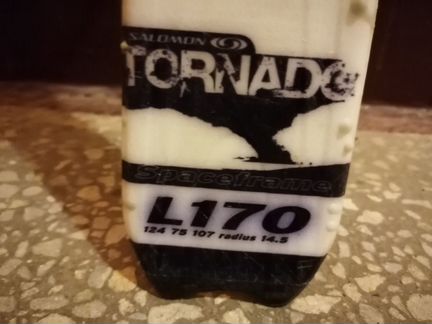 Горные лыжи