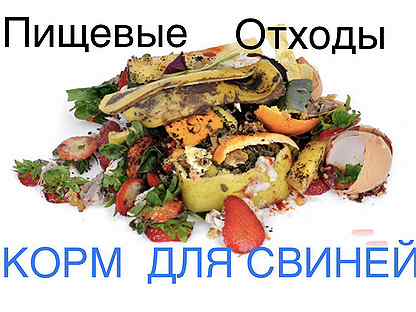 Пищевые отходы на корм скоту