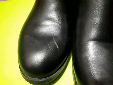 Сапоги женские демисезон