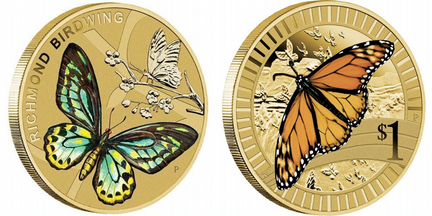 Бабочка птицекрылка. Животные атлеты. Бабочка