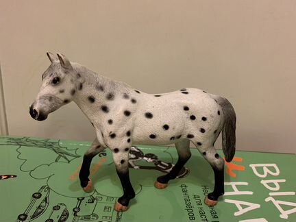 Конь аппалуза